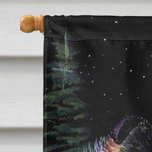 Load image into Gallery viewer, Starry Night Collie Flag Canvas House Size