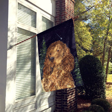 Load image into Gallery viewer, American Water Spaniel Flag Canvas House Size
