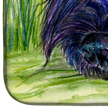 Load image into Gallery viewer, Briard Dish Drying Mat – Absorbent, Artistic Kitchen Essentials SS8520DDM