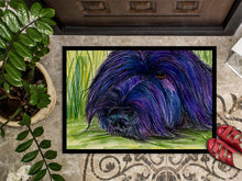 Load image into Gallery viewer, Briard Doormat - 24x36 Decorative Floor Mat – Indoor/Outdoor Rug with Artistic Flair Doormat