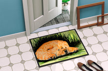 Load image into Gallery viewer, Chow Chow Doormat - 24x36 Decorative Floor Mat – Indoor/Outdoor Rug with Artistic Flair Doormat
