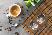 Load image into Gallery viewer, Starry Night Bearded Collie Coasters - Set of 4 Lightweight Foam, Absorbent Drink Coasters
