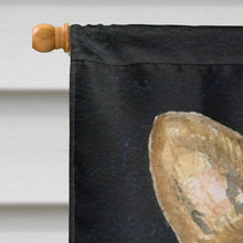 Load image into Gallery viewer, Corgi Flag Canvas House Size