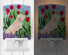 Load image into Gallery viewer, Golden Retriever Ceramic Night Light SS8610CNL