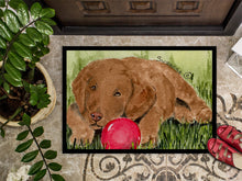 Load image into Gallery viewer, Curly Coated Retriever Doormat - 24x36 Decorative Floor Mat – Indoor/Outdoor Rug with Artistic Flair Doormat