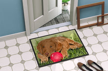 Load image into Gallery viewer, Curly Coated Retriever Doormat - 24x36 Decorative Floor Mat – Indoor/Outdoor Rug with Artistic Flair Doormat