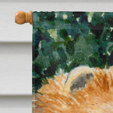 Load image into Gallery viewer, Pomeranian Flag Canvas House Size