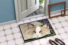 Load image into Gallery viewer, Cat Doormat - 24x36 Decorative Floor Mat – Indoor/Outdoor Rug with Artistic Flair Doormat