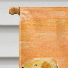 Load image into Gallery viewer, Airedale Flag Canvas House Size