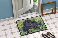 Load image into Gallery viewer, Newfoundland Doormat - 24x36 Decorative Floor Mat – Indoor/Outdoor Rug with Artistic Flair Doormat