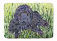 Load image into Gallery viewer, Newfoundland Machine Washable Memory Foam Mat SS8872RUG