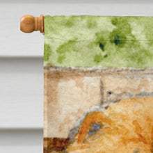 Load image into Gallery viewer, Chow Chow Flag Canvas House Size