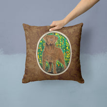 Load image into Gallery viewer, Chesapeake Bay Retriever Throw Pillow - 14x14 Decorative Pillow – Art for Your Home &amp; Patio