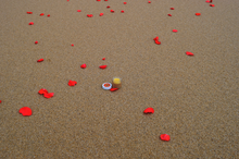 Load image into Gallery viewer, Calendula Balm