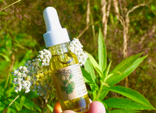 Load image into Gallery viewer, Yarrow Beauty Serum