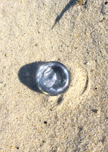 Load image into Gallery viewer, Space Goth Gloss