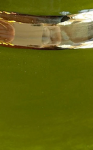 Load image into Gallery viewer, Sparkle Confetti Monogrammed Cowboy Hat