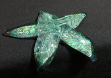 Load image into Gallery viewer, Silver Aqua Dichro Starfish