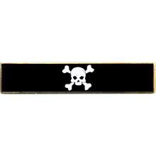 Load image into Gallery viewer, PBX-006-H Morale is Dead Pirate Flag commendation bar pin Police Uniform CBP NYPD LAPD