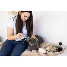 Load image into Gallery viewer, Soy Sauce and Sushi Cat Toy Set | Plush Toys for Pet Lovers | Giftable Cat Stocking Stuffer