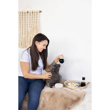 Load image into Gallery viewer, Soy Sauce and Sushi Cat Toy Set | Plush Toys for Pet Lovers | Giftable Cat Stocking Stuffer