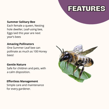 Load image into Gallery viewer, Chalet Bee House &amp; Complete Kit including Bee Certificate