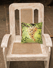 Load image into Gallery viewer, Sunshine White Grapes by Malenda Trick Canvas Decorative Pillow TMTR0154PW1414