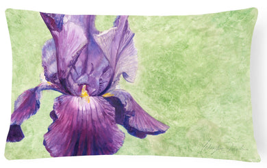 Purple Iris by Malenda Trick Fabric Decorative Pillow TMTR0234PW1216