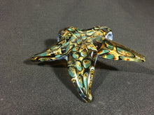 Load image into Gallery viewer, Tide Pool Amber Barnacle Starfish