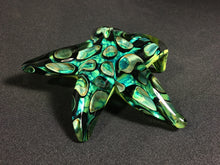 Load image into Gallery viewer, Tide Pool Green Barnacle Starfish