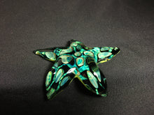 Load image into Gallery viewer, Tide Pool Green Barnacle Starfish