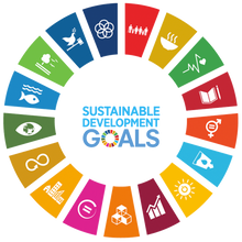 Load image into Gallery viewer, GL3-004 UN 17 Sustainable Development Goals United Nation not NATO Global Goals Lapel Pin Blueprint for Peace