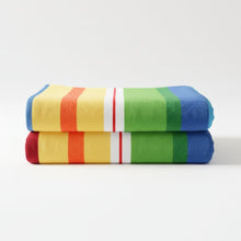 Load image into Gallery viewer, DaDa Bedding Colorful Striped Rainbow Reversible Plush Luxe Flannel Fleece Throw Blanket (XY9867)