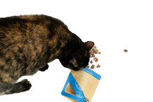 Load image into Gallery viewer, Bison Liver Bits - Cat
