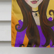 Load image into Gallery viewer, Halloween Wicked Witch Flag Canvas House Size VHA3019CHF