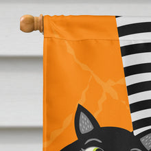 Load image into Gallery viewer, Halloween Witches Feet Flag Canvas House Size VHA3038CHF