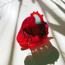Load image into Gallery viewer, Velvet Claws Anatomical Heart Hair Clip | Red Heart Shaped Claw Clip in Velvet Travel Bag