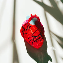 Load image into Gallery viewer, Velvet Claws Anatomical Heart Hair Clip | Red Heart Shaped Claw Clip in Velvet Travel Bag