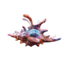 Load image into Gallery viewer, Velvet Claws Realistic Conch Shell Hair Claw in Mermaid Colors | Claw Clip in Velvet Travel Bag