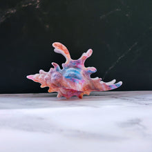 Load image into Gallery viewer, Velvet Claws Realistic Conch Shell Hair Claw in Mermaid Colors | Claw Clip in Velvet Travel Bag