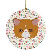 Load image into Gallery viewer, Exotic Shorthair Cat Christmas Ceramic Ornament
