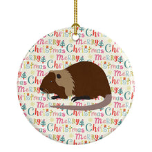 Load image into Gallery viewer, Coypu Nutria River Rat Christmas Ceramic Ornament