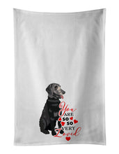 Load image into Gallery viewer, Schnauzer Black and Tan so Loved White Kitchen Towel Set of 2