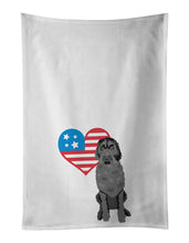 Load image into Gallery viewer, Doodle Black #3 Patriotic White Kitchen Towel Set of 2