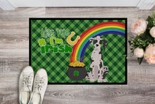 Load image into Gallery viewer, Harlequin Great Dane St. Patrick's Day Doormat - 24x36 Decorative Floor Mat – Indoor/Outdoor Rug with Artistic Flair