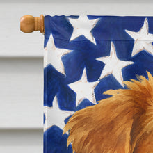 Load image into Gallery viewer, Red Merle Australian Shepherd American Flag House Flag