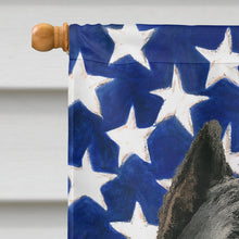 Load image into Gallery viewer, Black Cane Corso American Flag House Flag
