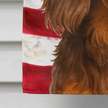 Load image into Gallery viewer, Longhaired Chocolate and Tan Dachshund American Flag House Flag