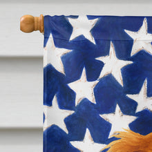 Load image into Gallery viewer, Longhaired Red Dachshund American Flag House Flag