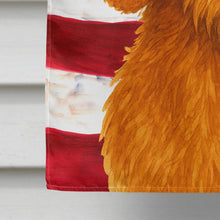 Load image into Gallery viewer, Wirehaired Red Dachshund American Flag House Flag